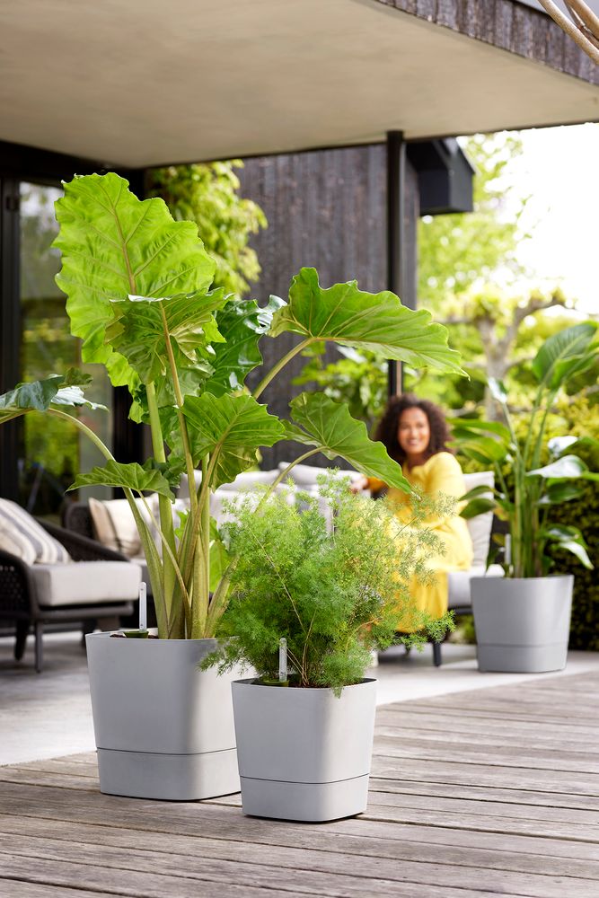 Greensense Aqua Care Carré 30