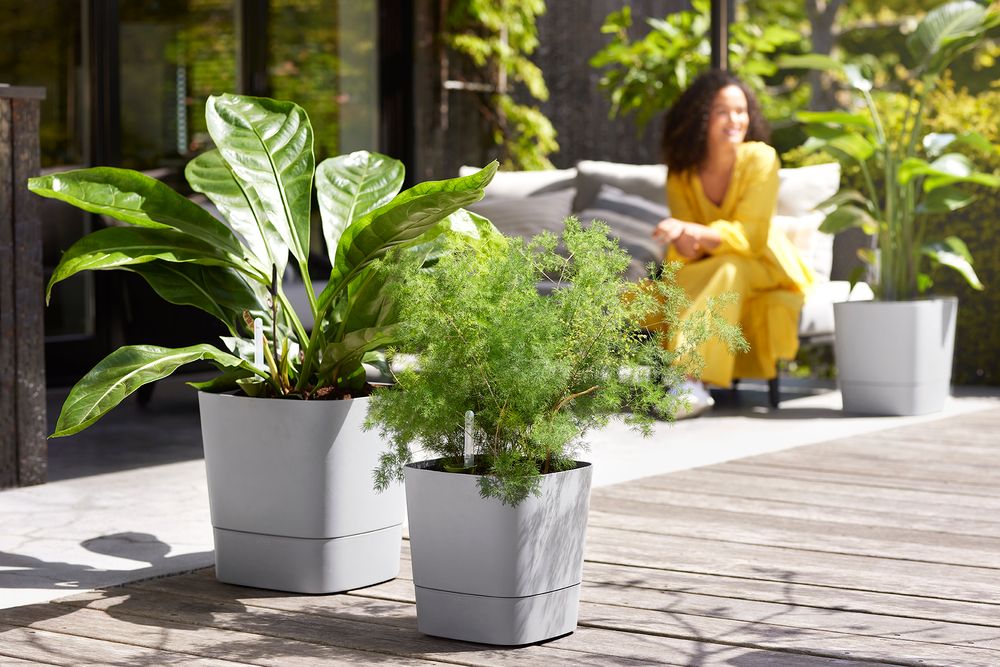 Greensense Aqua Care Carré 30