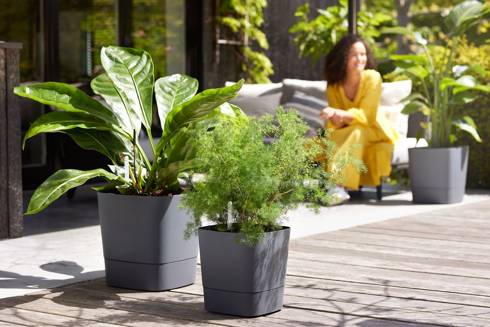 Greensense Aqua Care Carré 30