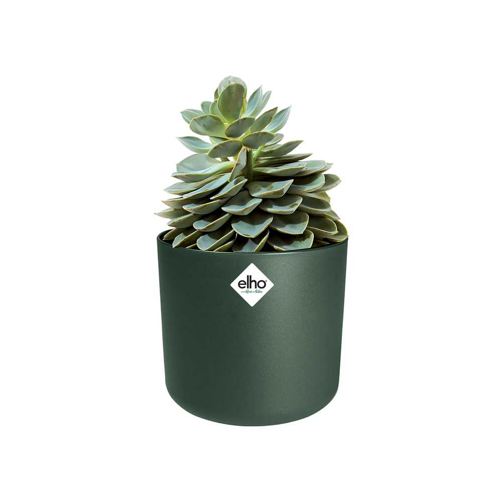 B.for Soft Rond 25
