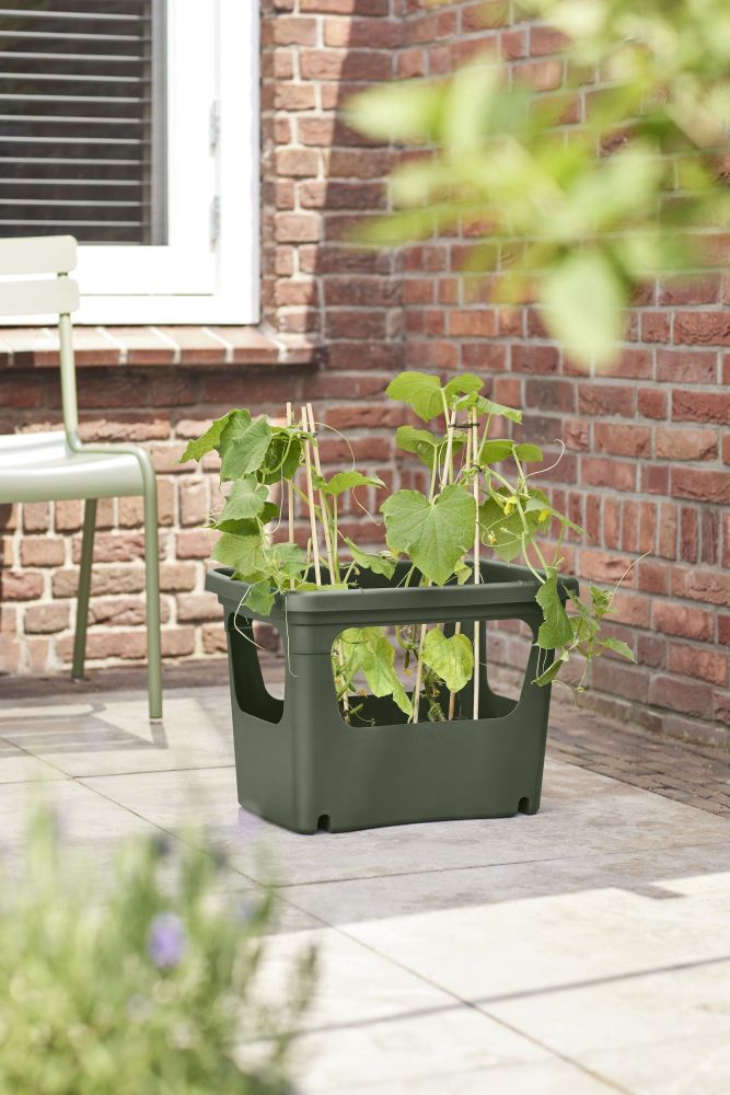 Green Basics Stack & Grow Large