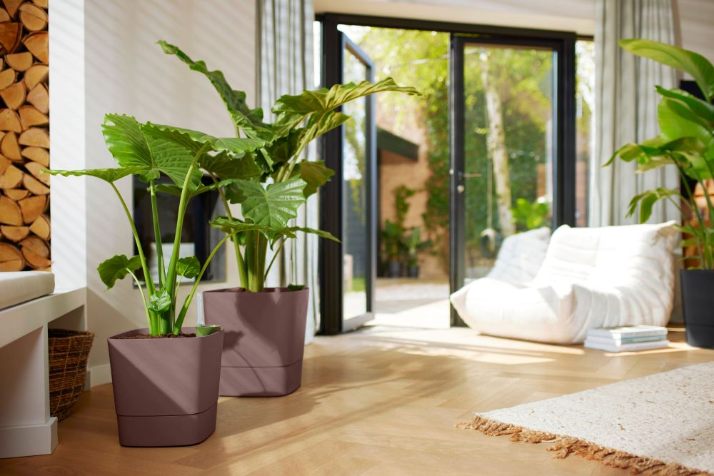 Greensense Aqua Care Carré 38