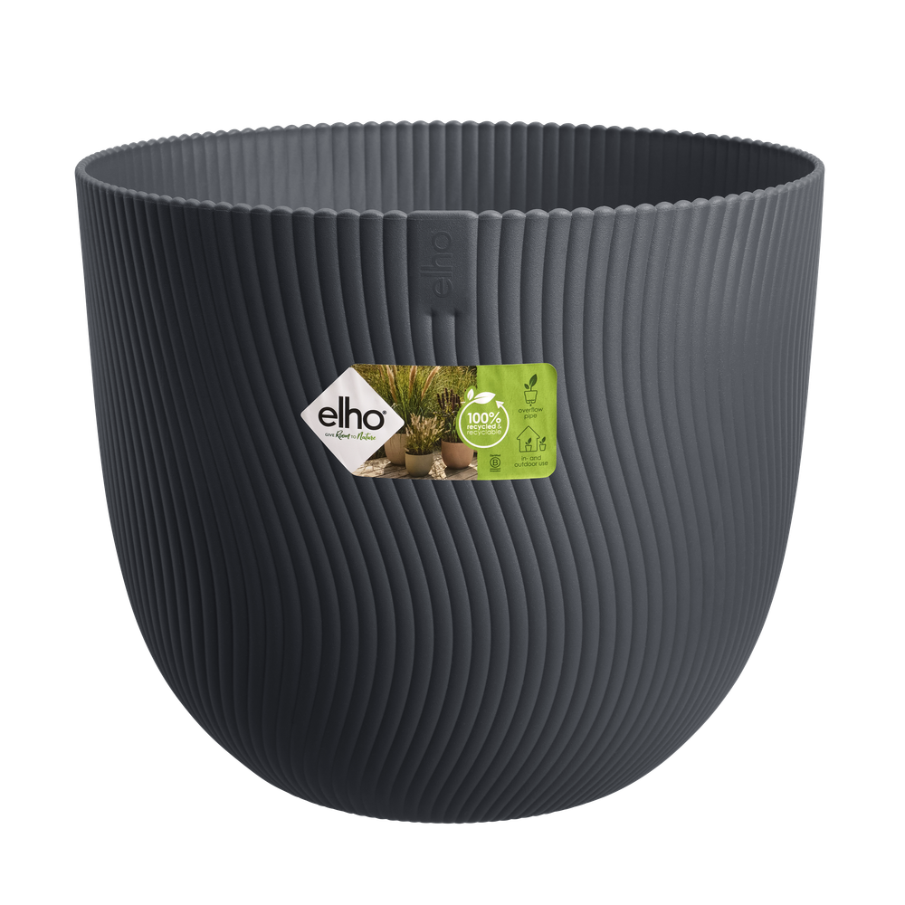 Sereh Rond 30