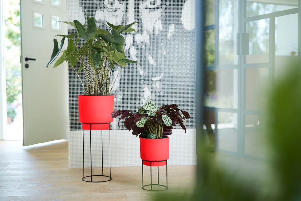 B.for Studio Rond 30