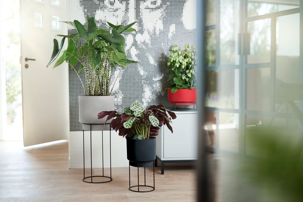 B.for Studio Rond 30