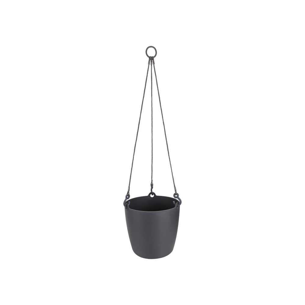 Brussels Suspension 18
