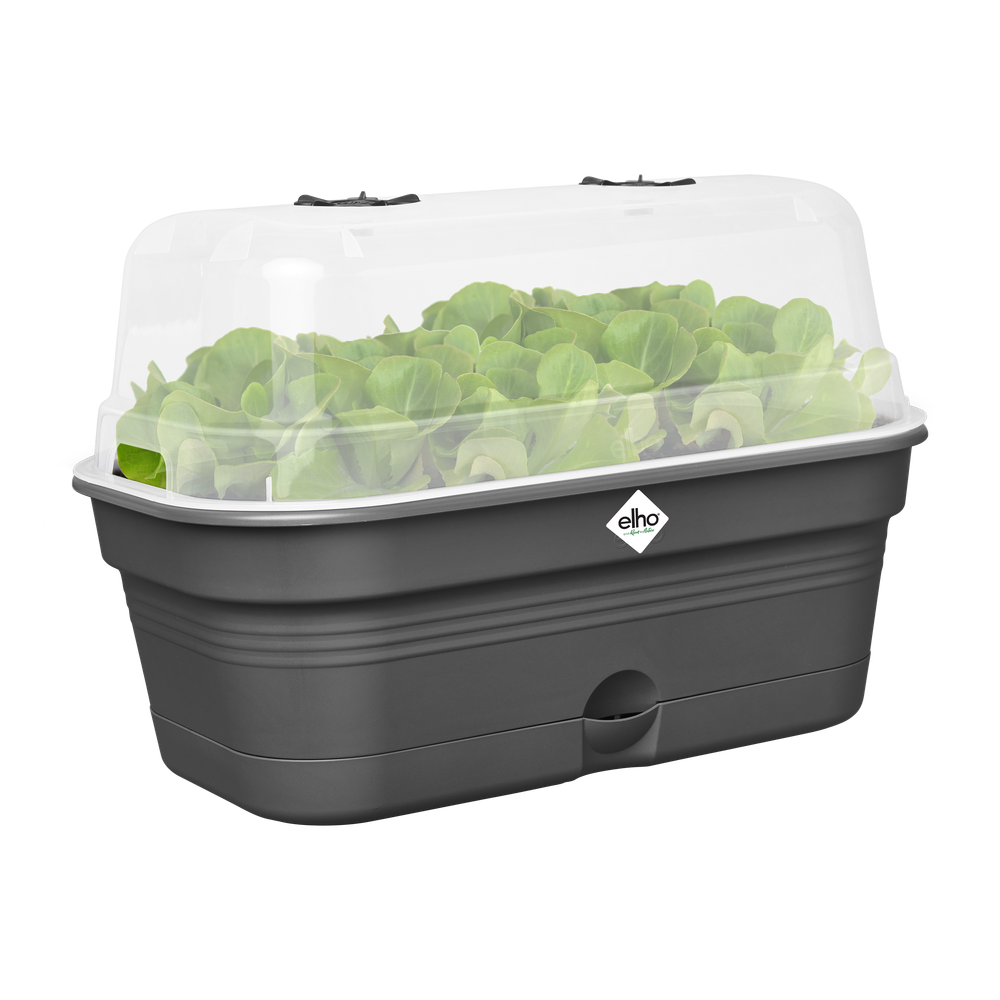 Green Basics Plateau De Culture Allin1 M