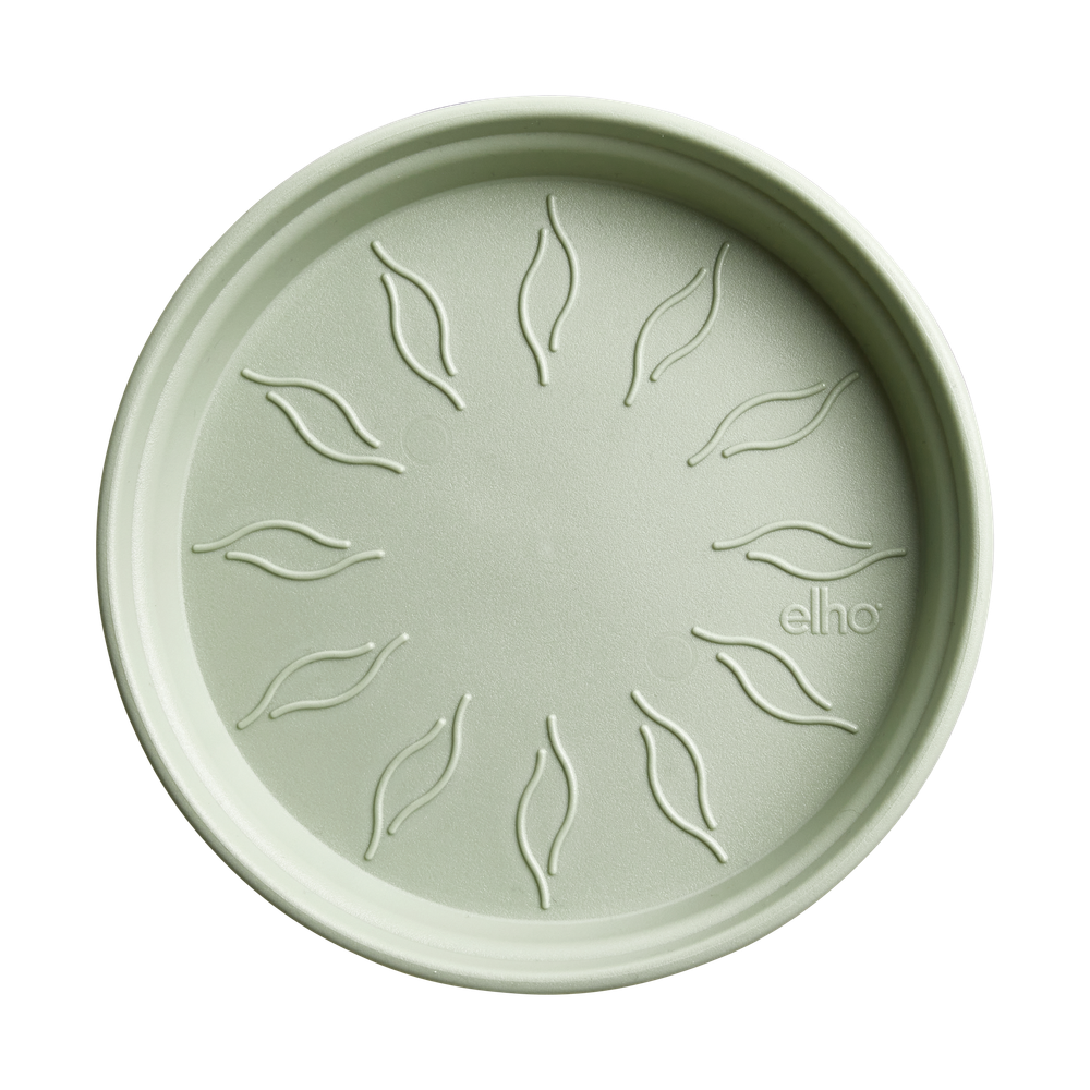 Green Basics Soucoupe 34