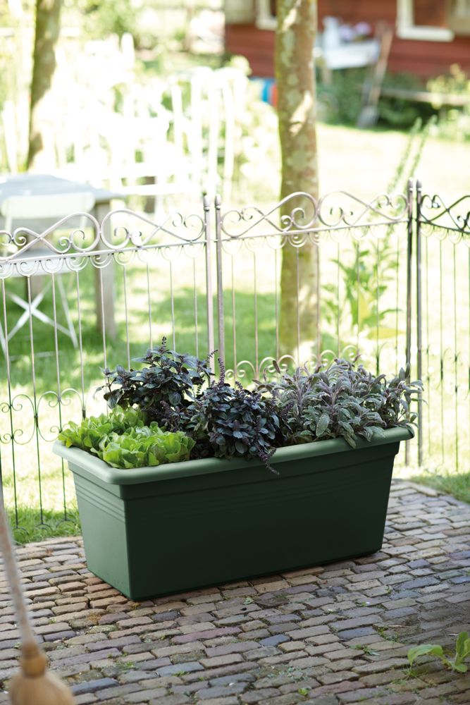Green Basics Jardin Xxl 60