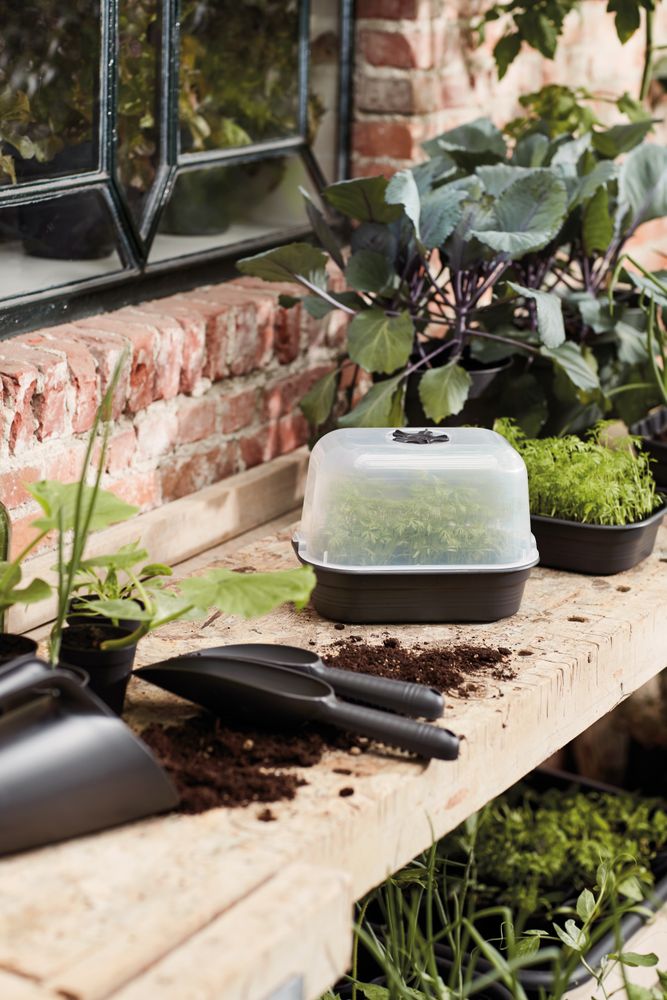 Green Basics Plateau De Culture S