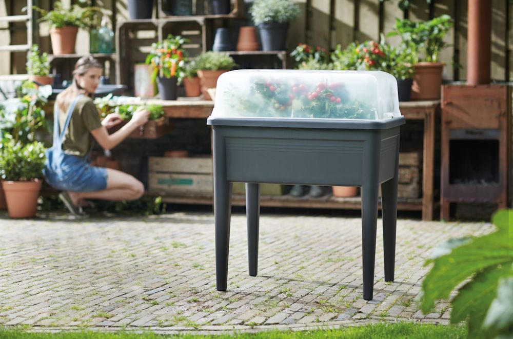 Green Basics Table De Culture Super Xxl