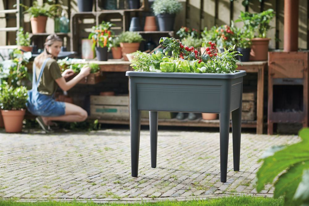 Green Basics Table De Culture Super Xxl