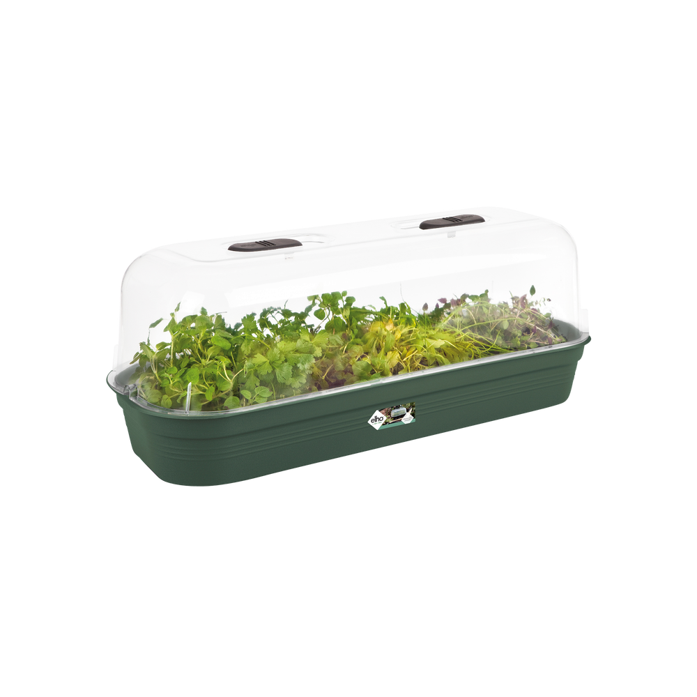 Green Basics Plateau De Culture L