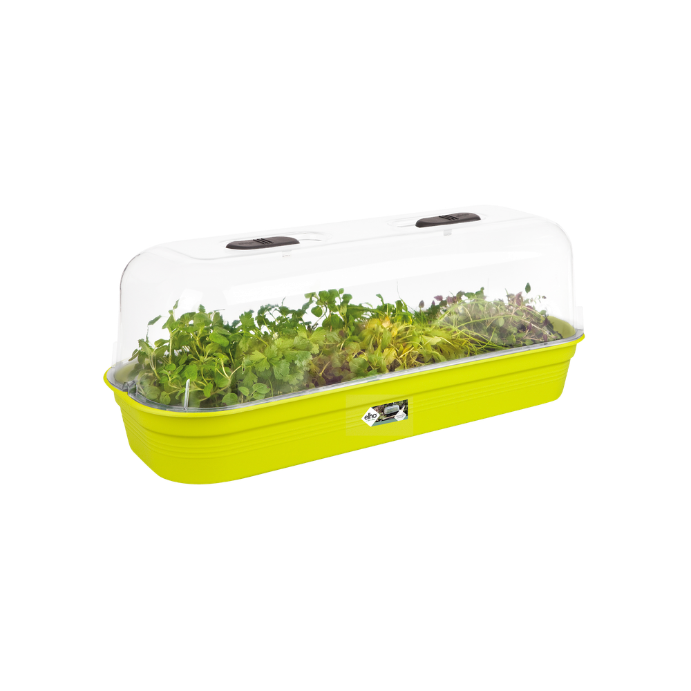 Green Basics Plateau De Culture L