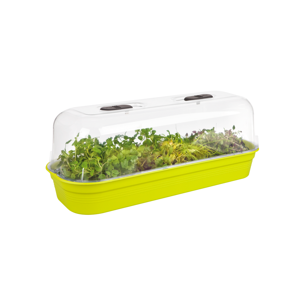 Green Basics Plateau De Culture L