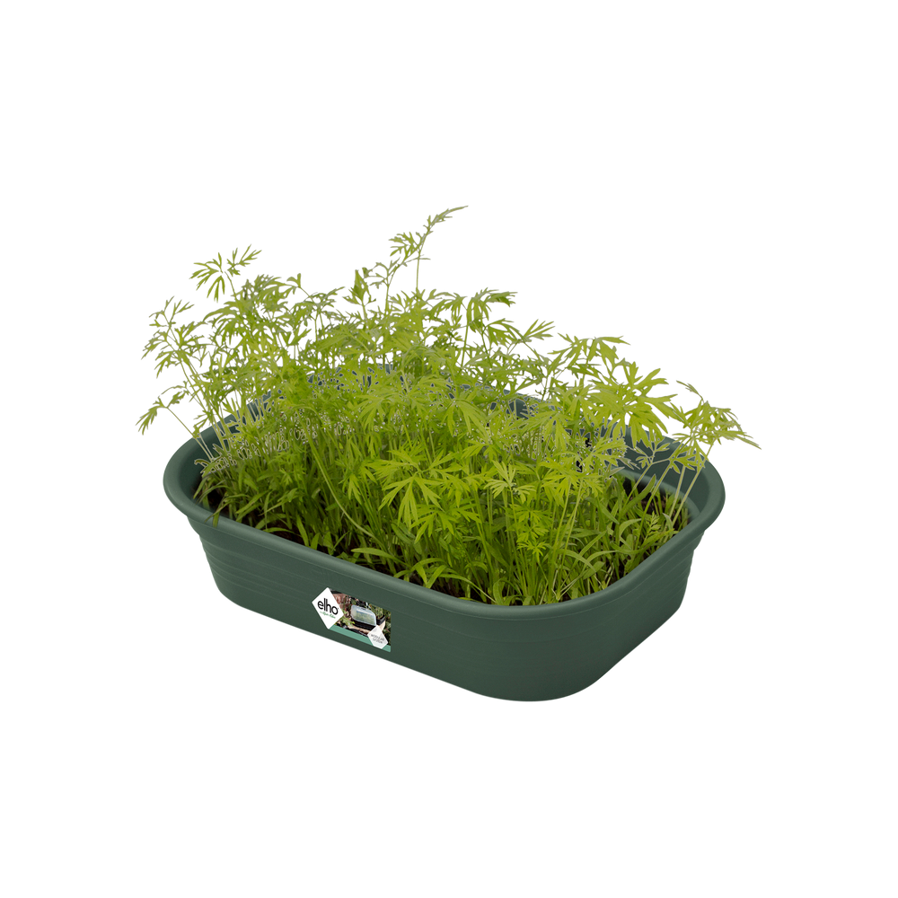 Green Basics Plateau De Culture S