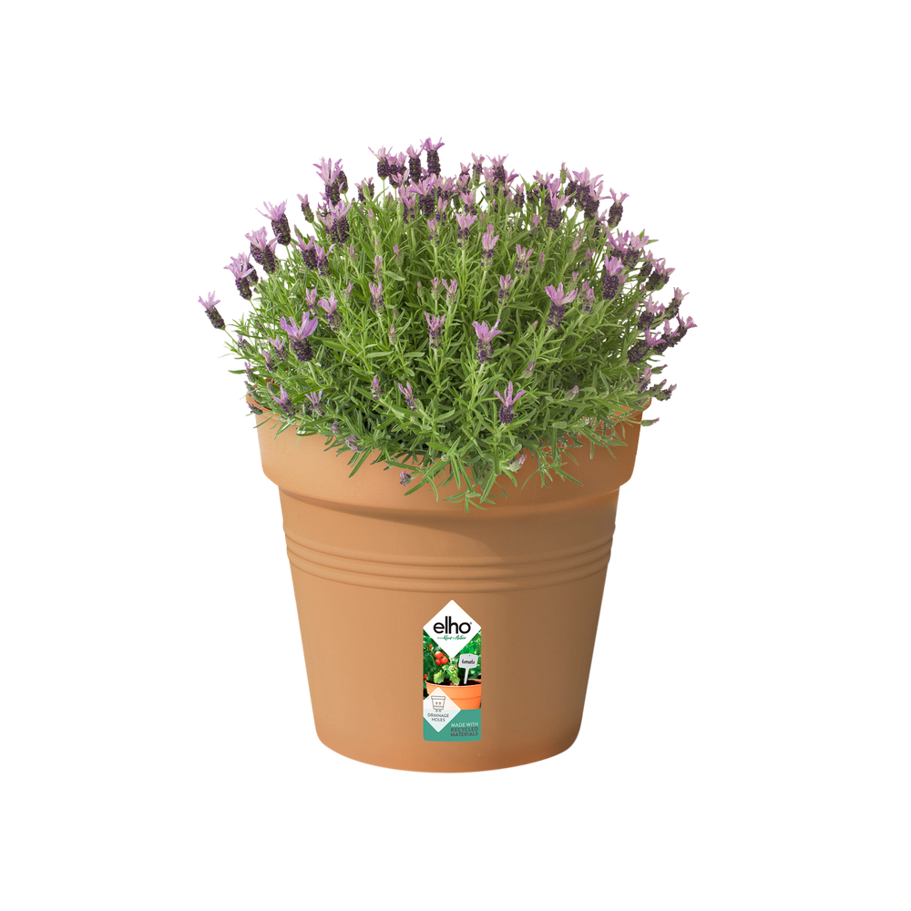 Green Basics Pot De Culture 35