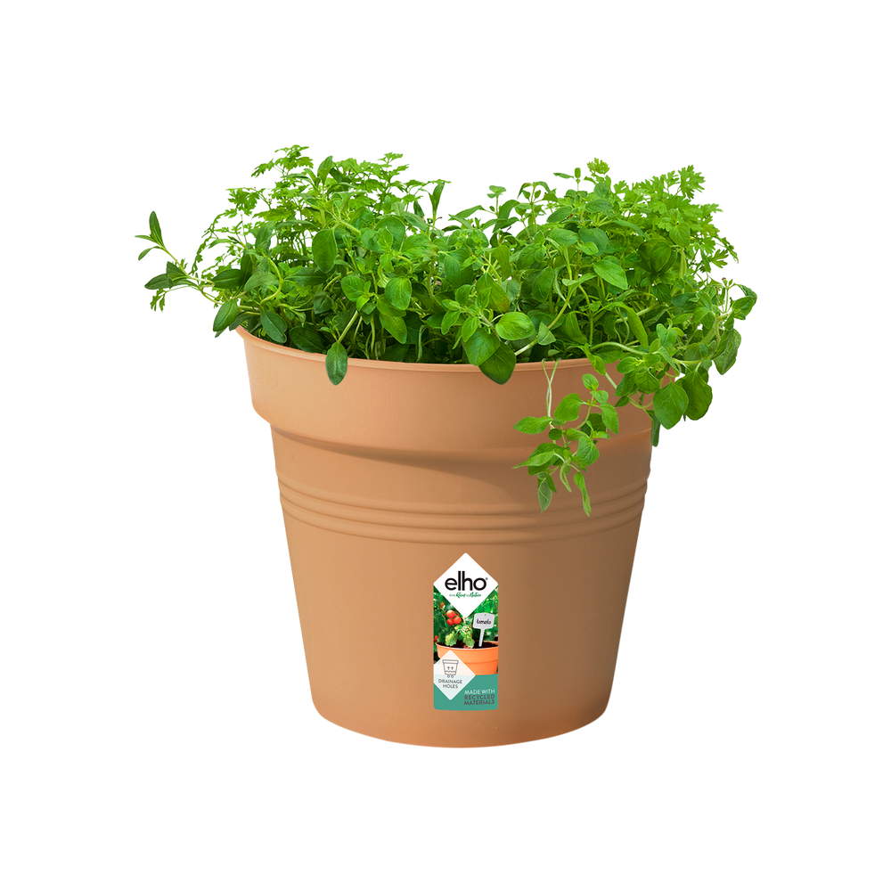 Green Basics Pot De Culture 24