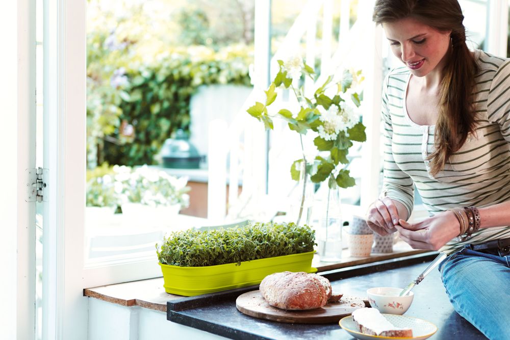 Green Basics Plateau De Culture L