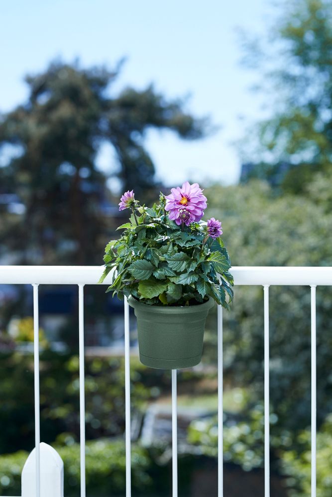 Green Basics Balconnière Poth. All-in-1