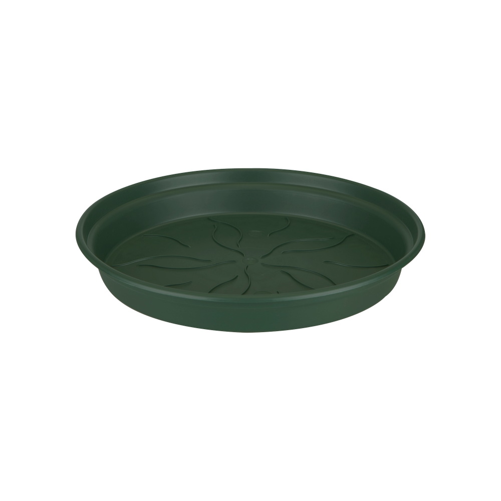 Green Basics Soucoupe 34
