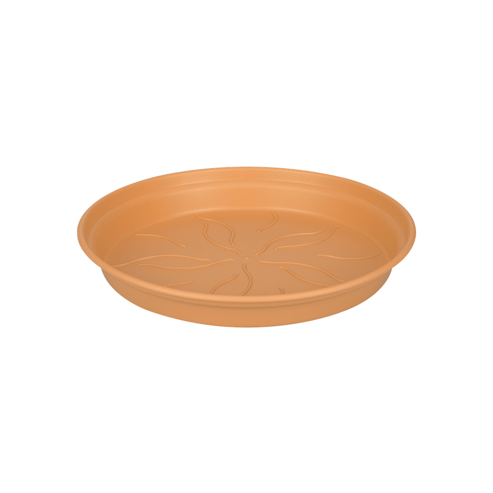 Green Basics Soucoupe 34