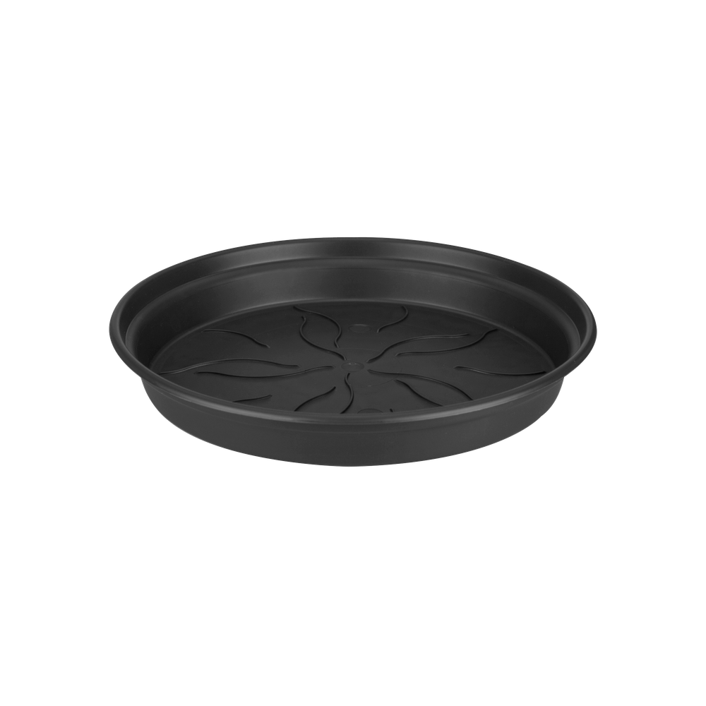 Green Basics Soucoupe 53