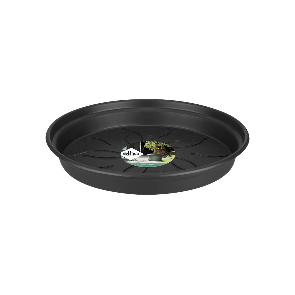 Green Basics Soucoupe 34