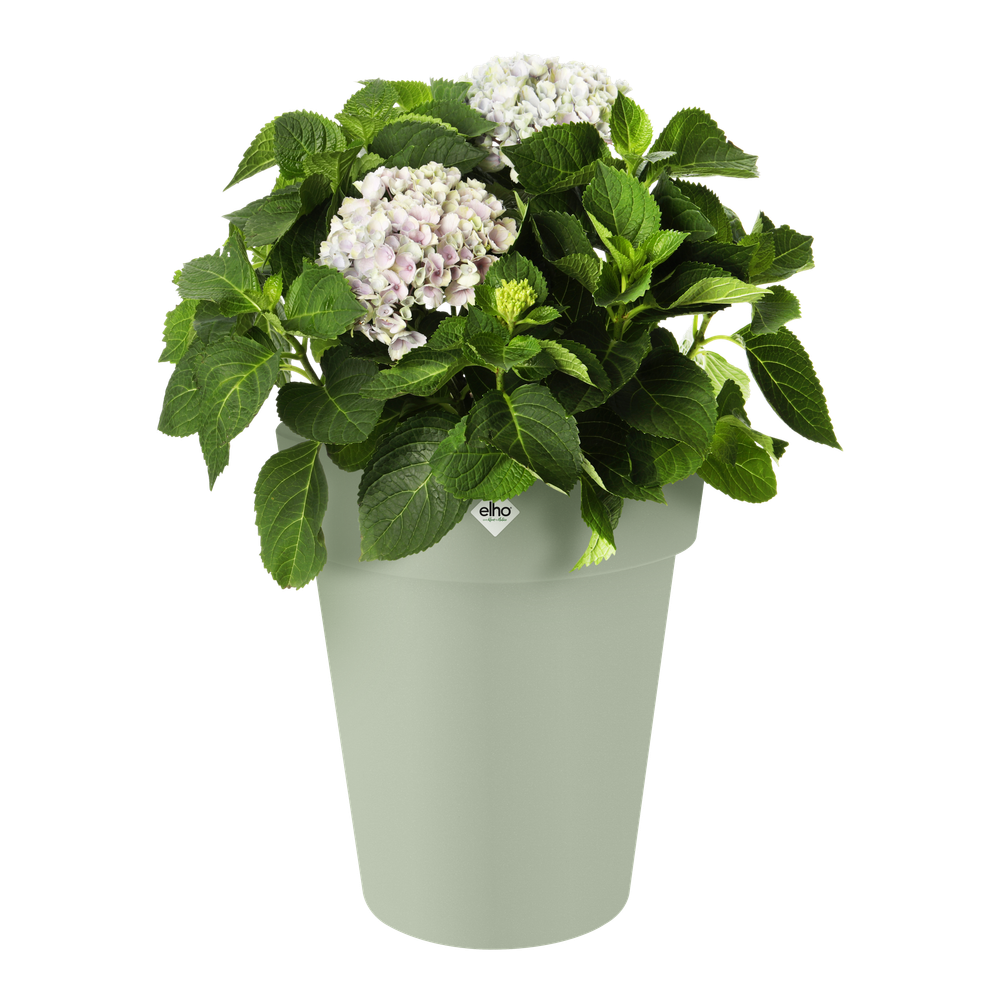 Green Basics Top Planter Haut 35
