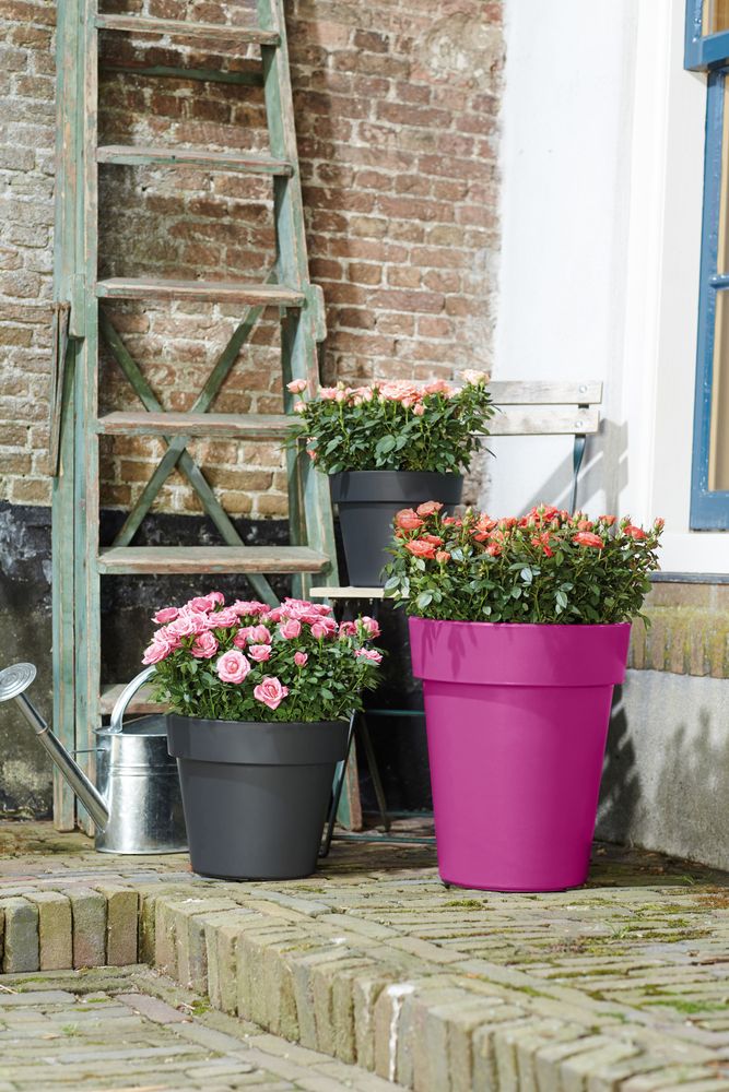 Green Basics Top Planter Haut 35