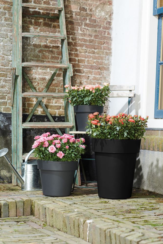 Green Basics Top Planter Haut 35