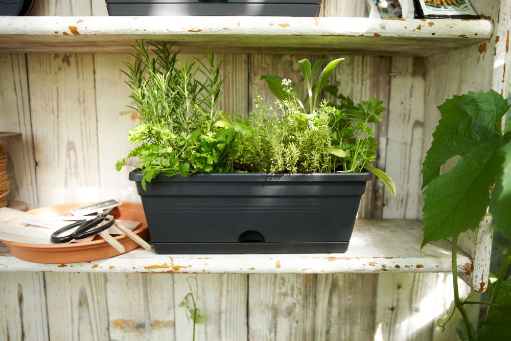 Green Basics Balconnière Mini 30