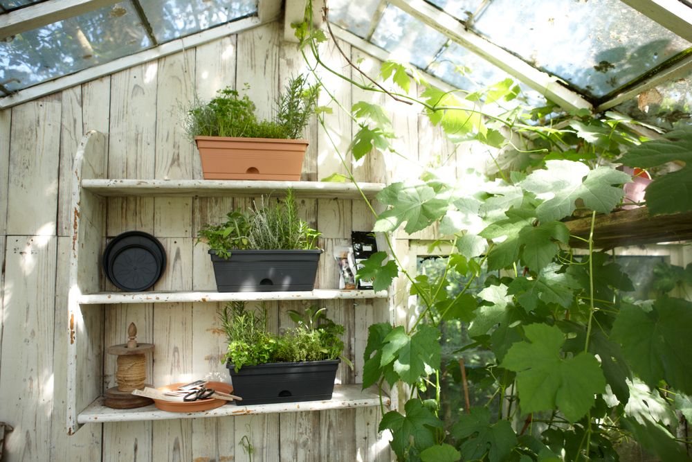 Green Basics Balconnière Mini 30