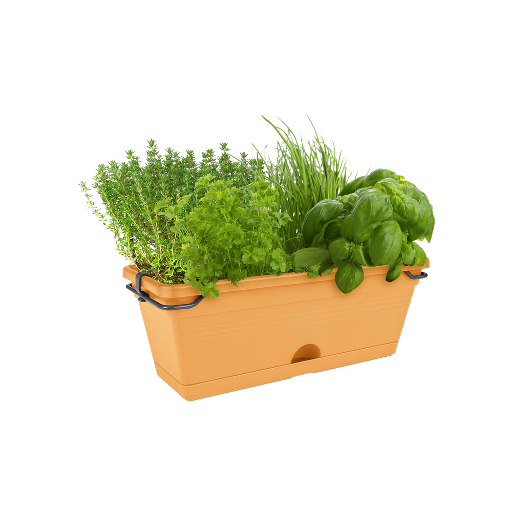 Green Basics Balconnière Mini 30