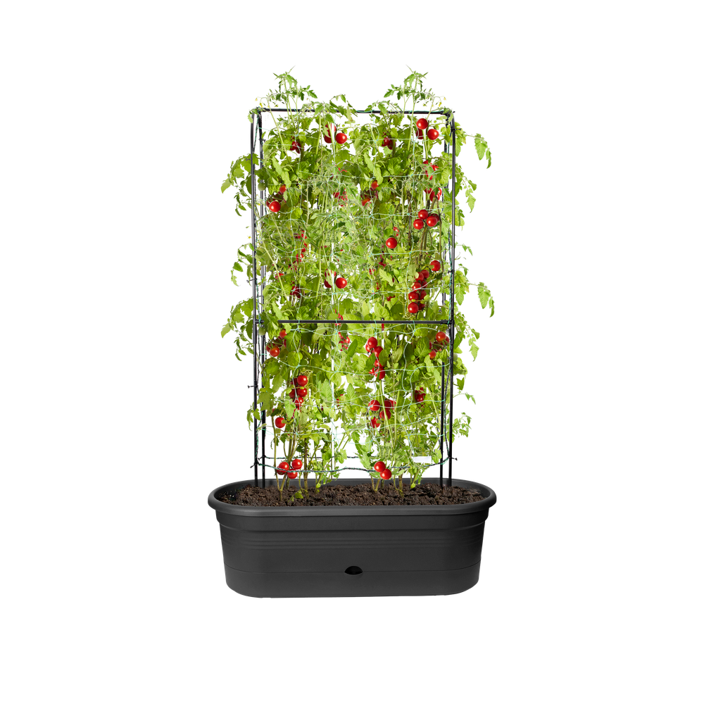 Green Basics Jardiniere Treillis 80