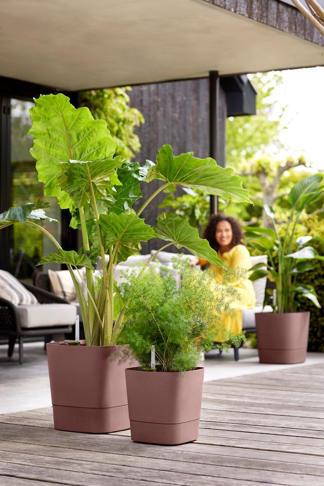 Greensense Aqua Care Carré 30