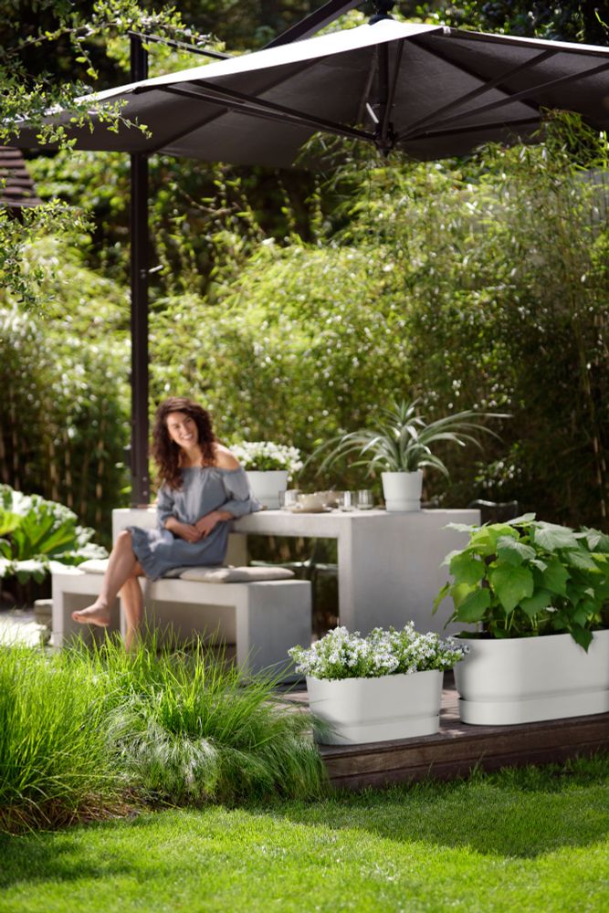 Greenville Terrase 60 Roues
