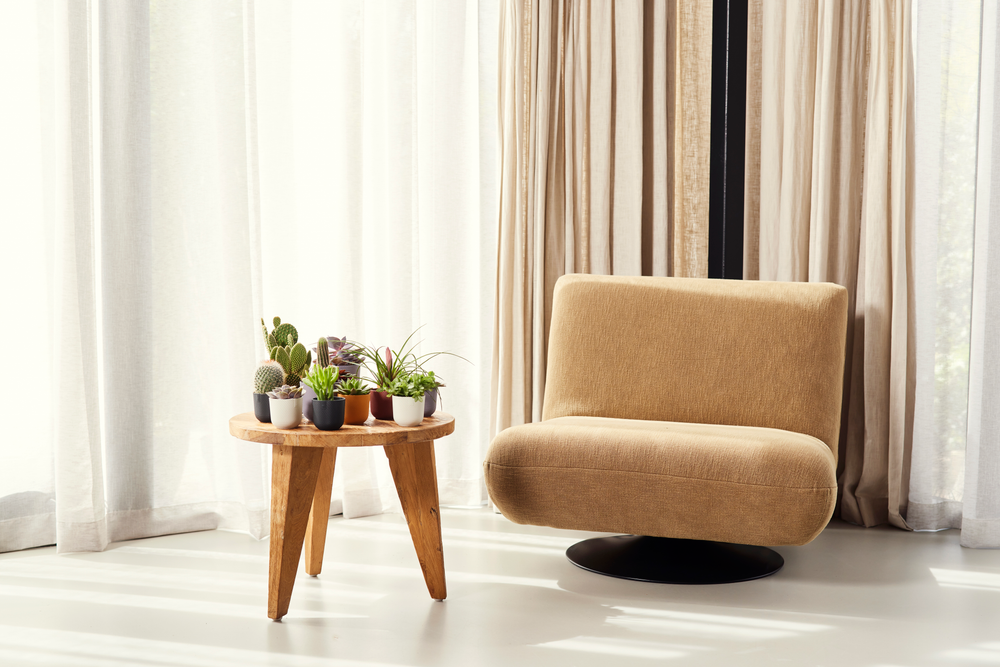 Jazz Rond Mini 11