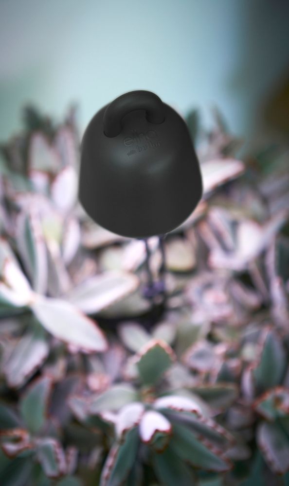 Leaf Light Care 36