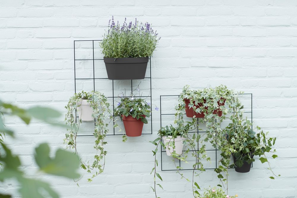 Loft Urban Green Wall Grille 59
