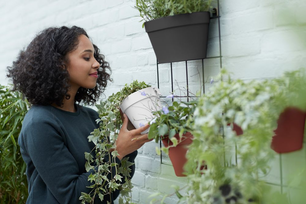 Loft Urban Green Wall Duo 28