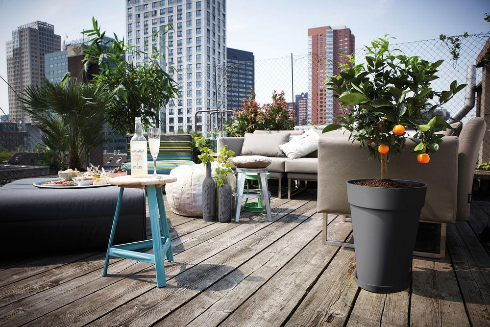 Loft Urban Soucoupe Ronde 34