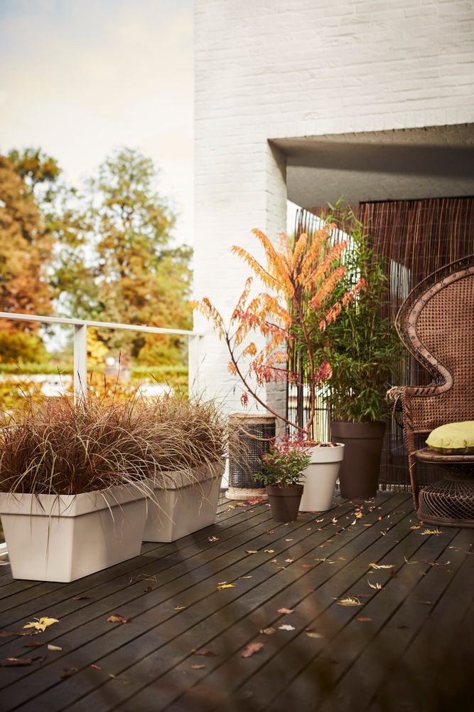 Loft Urban Terrasse Roues 70