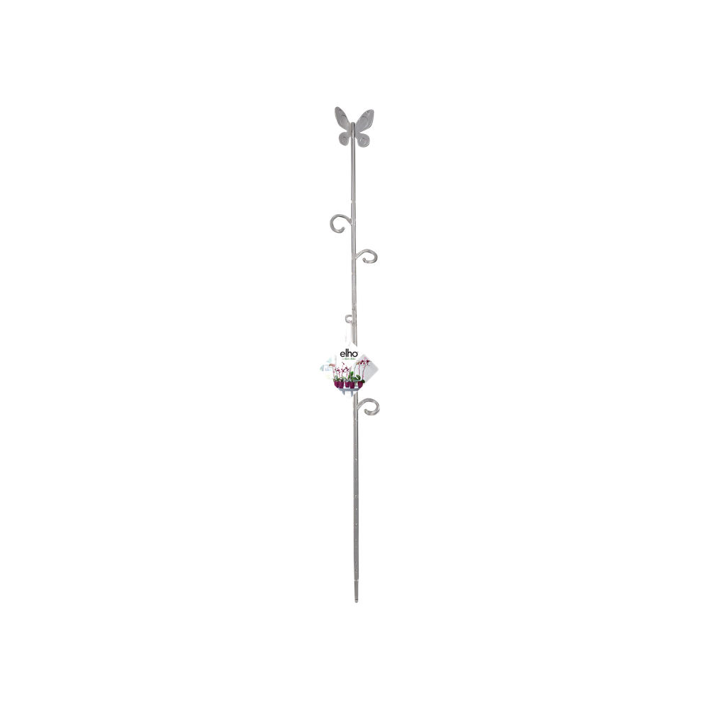 Orchideco Papillon 53