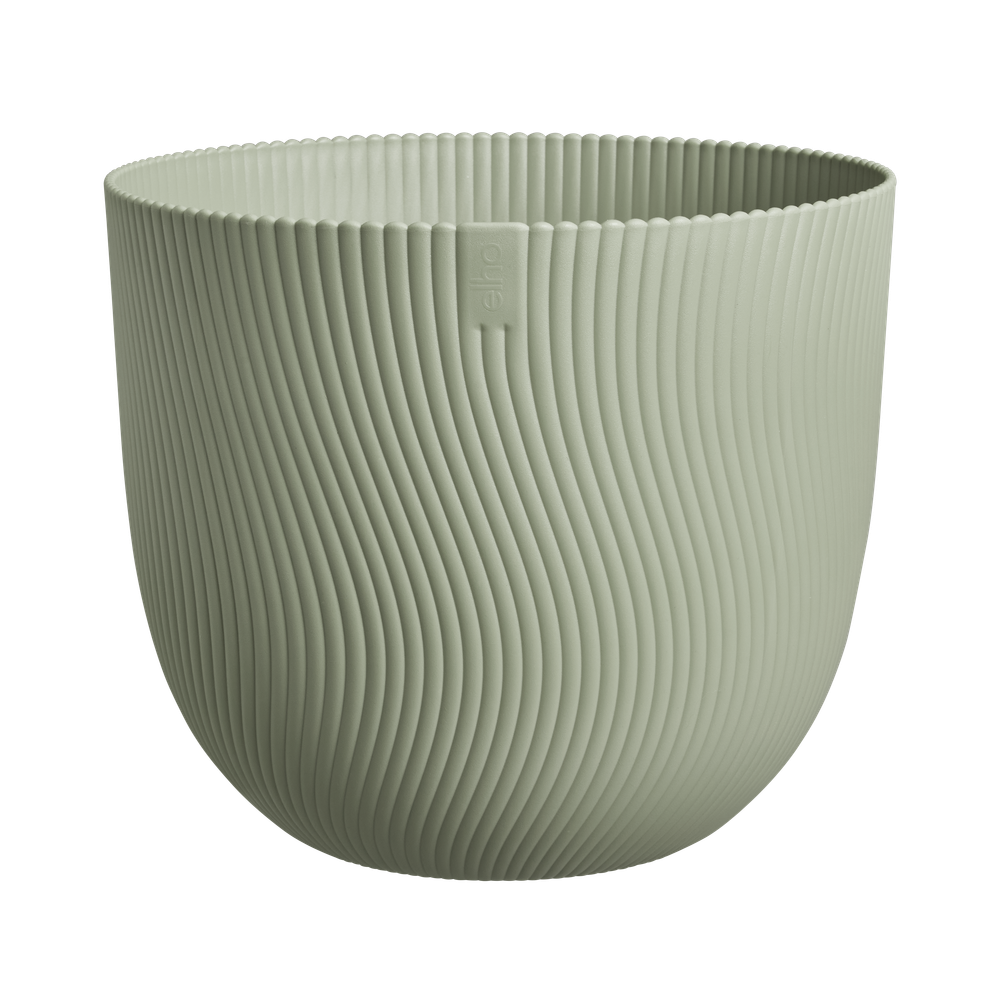 Sereh Rond 30