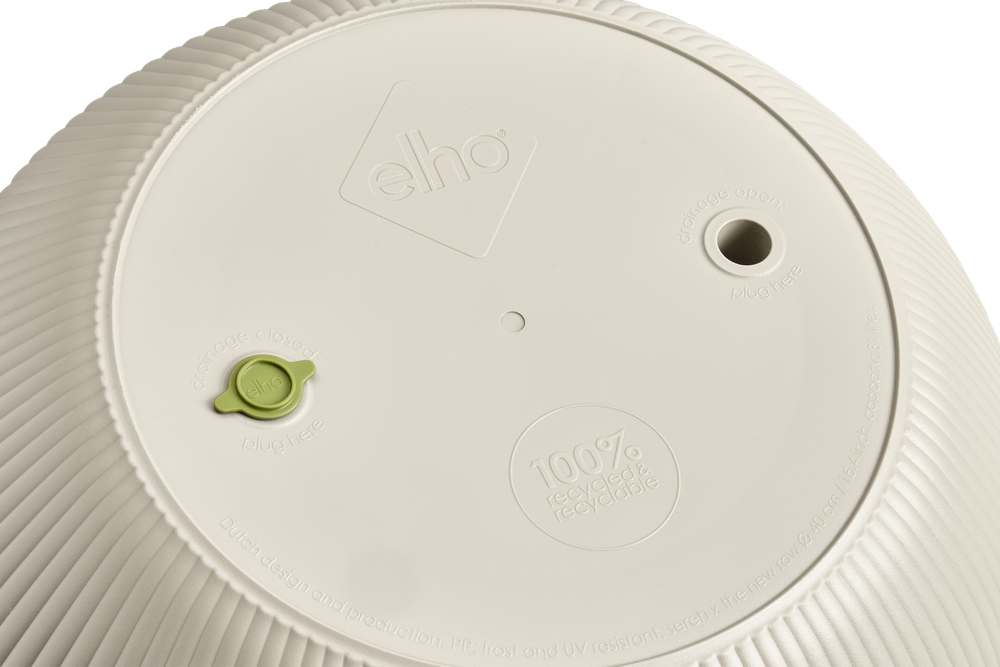 Sereh Rond 30