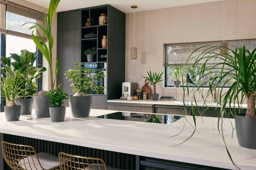The Coffee Collection Ronde 16