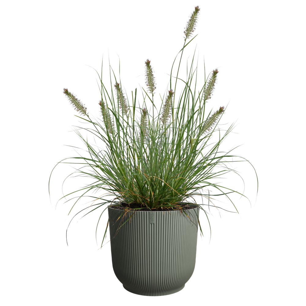 The Grass Collection Rond 40