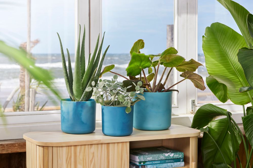 The Ocean Collection Ronde 18
