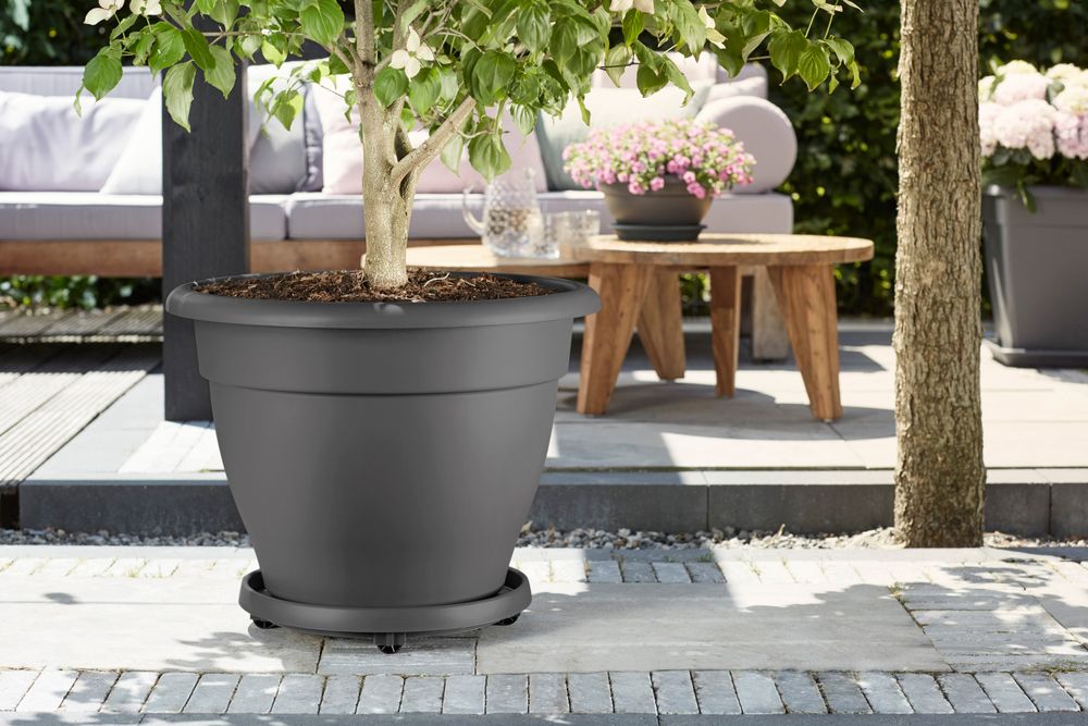 Planttaxi Universel 40